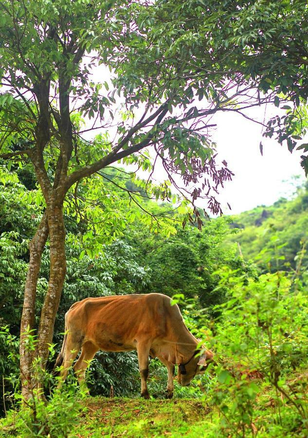 Du Gia Nalien View Homestay Lang Cac Bagian luar foto